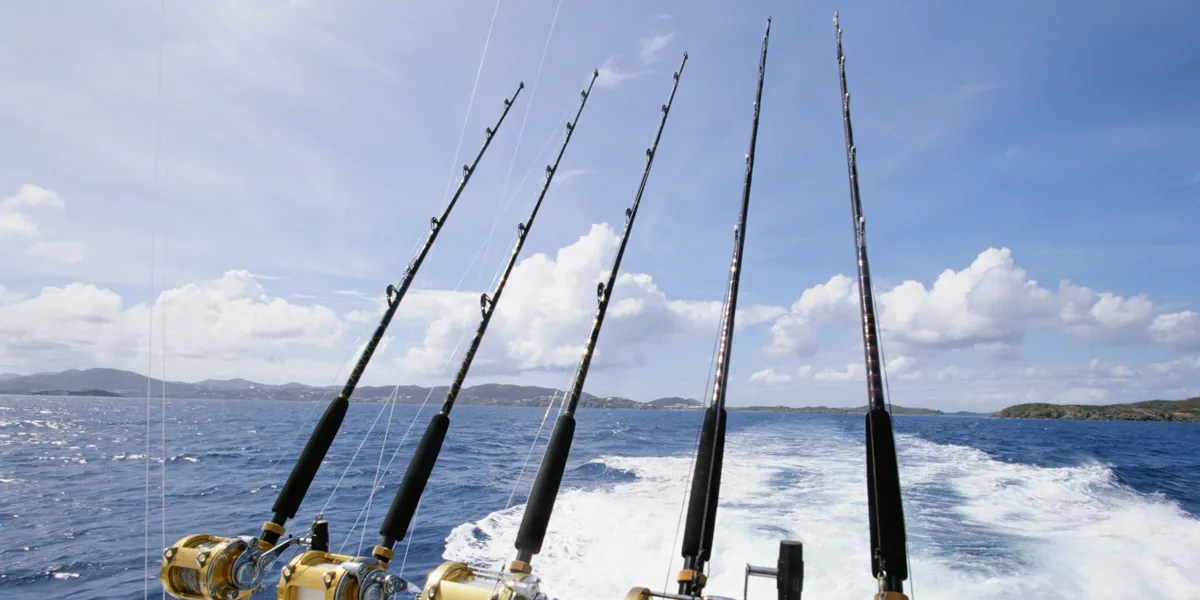 Fishing rods on the back of a boat.