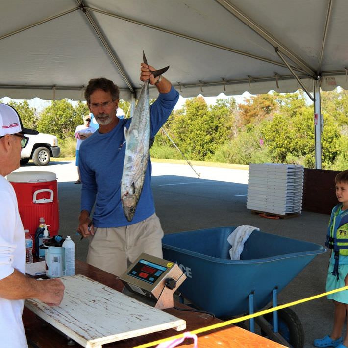 Man holding Spanish Mackerel at the scales.